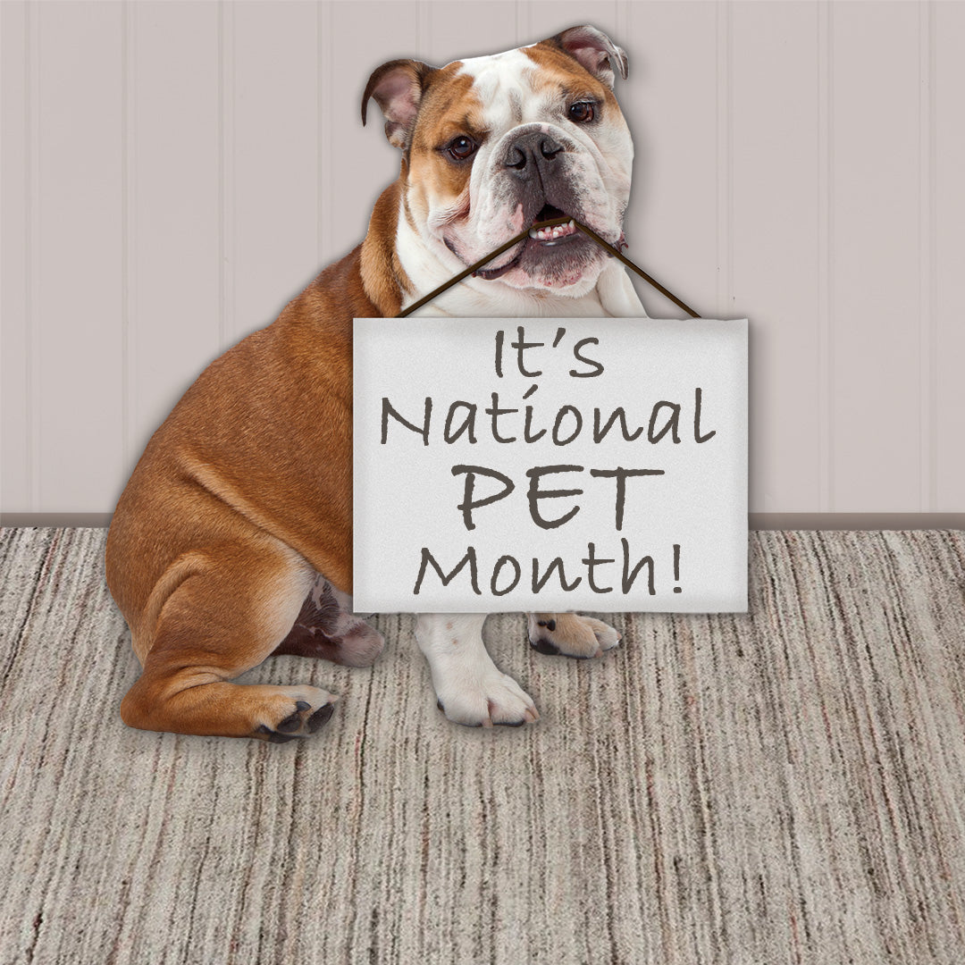 Pet Friendly & Earth friendly PET area rugs Capel Rugs