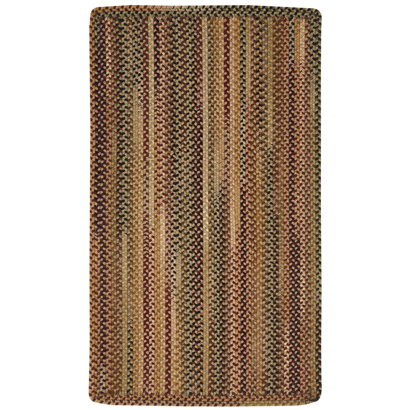 Gramercy Tan Braided Rug Rectangle SiloR image