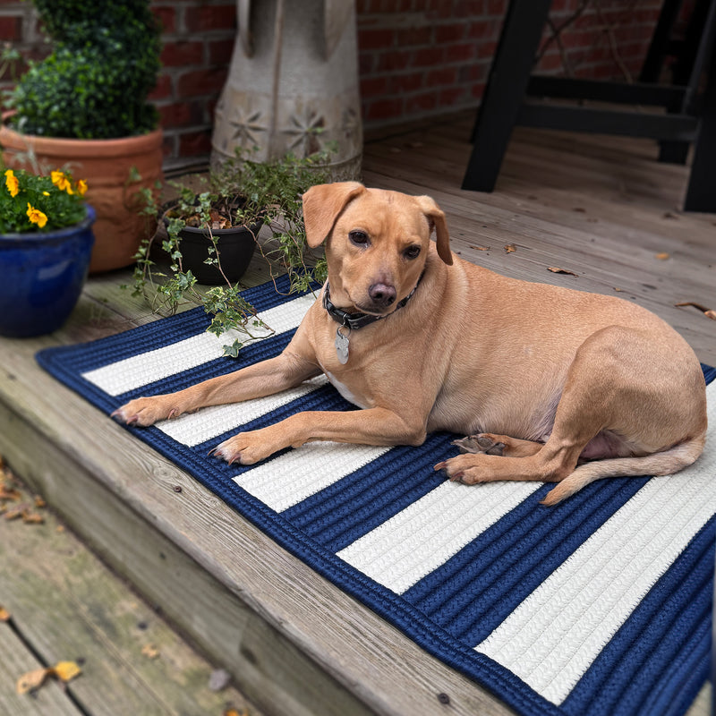 Timeless Navy Braided Rug Cross-Sewn Roomshot image