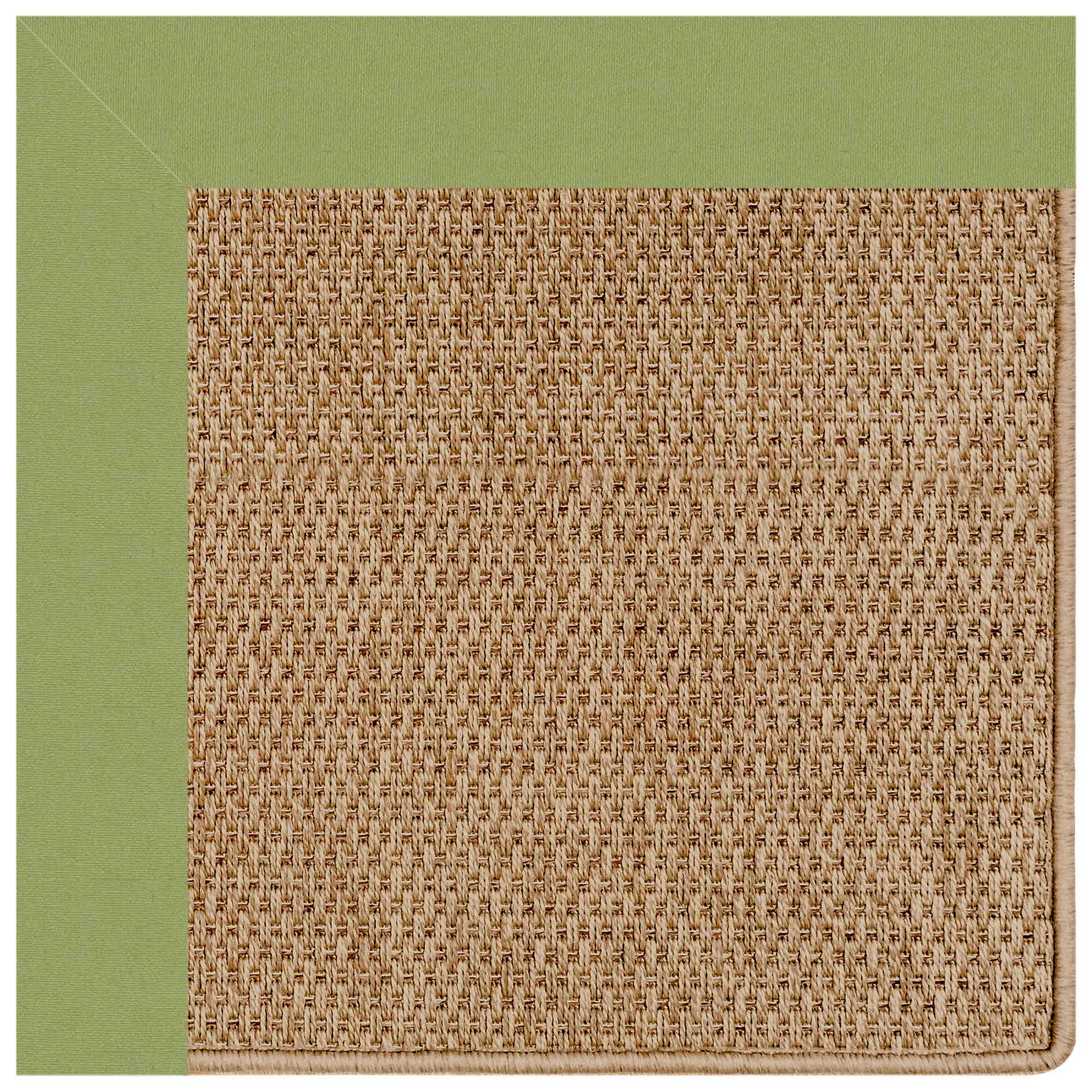 Islamorada-Basketweave Canvas Citron Indoor/Outdoor Bordere Rectangle image