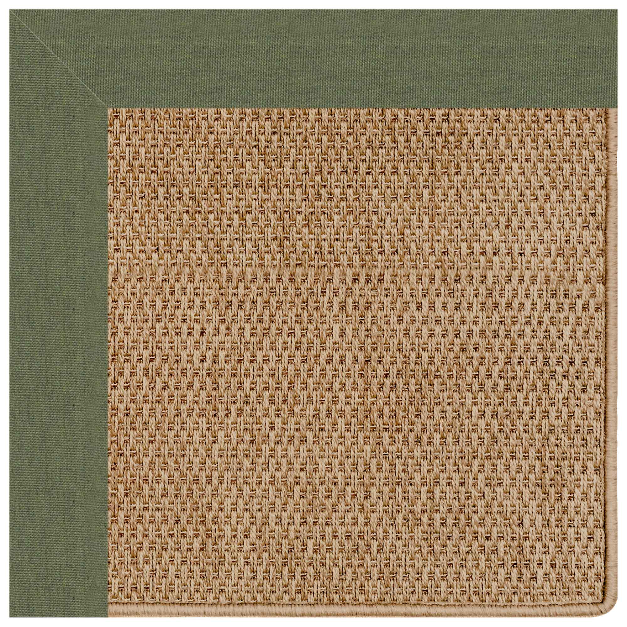 Islamorada-Basketweave Canvas Fern Indoor/Outdoor Bordere Rectangle image