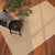 Anton Buttermilk Machine Woven Rug Rectangle Roomshot image