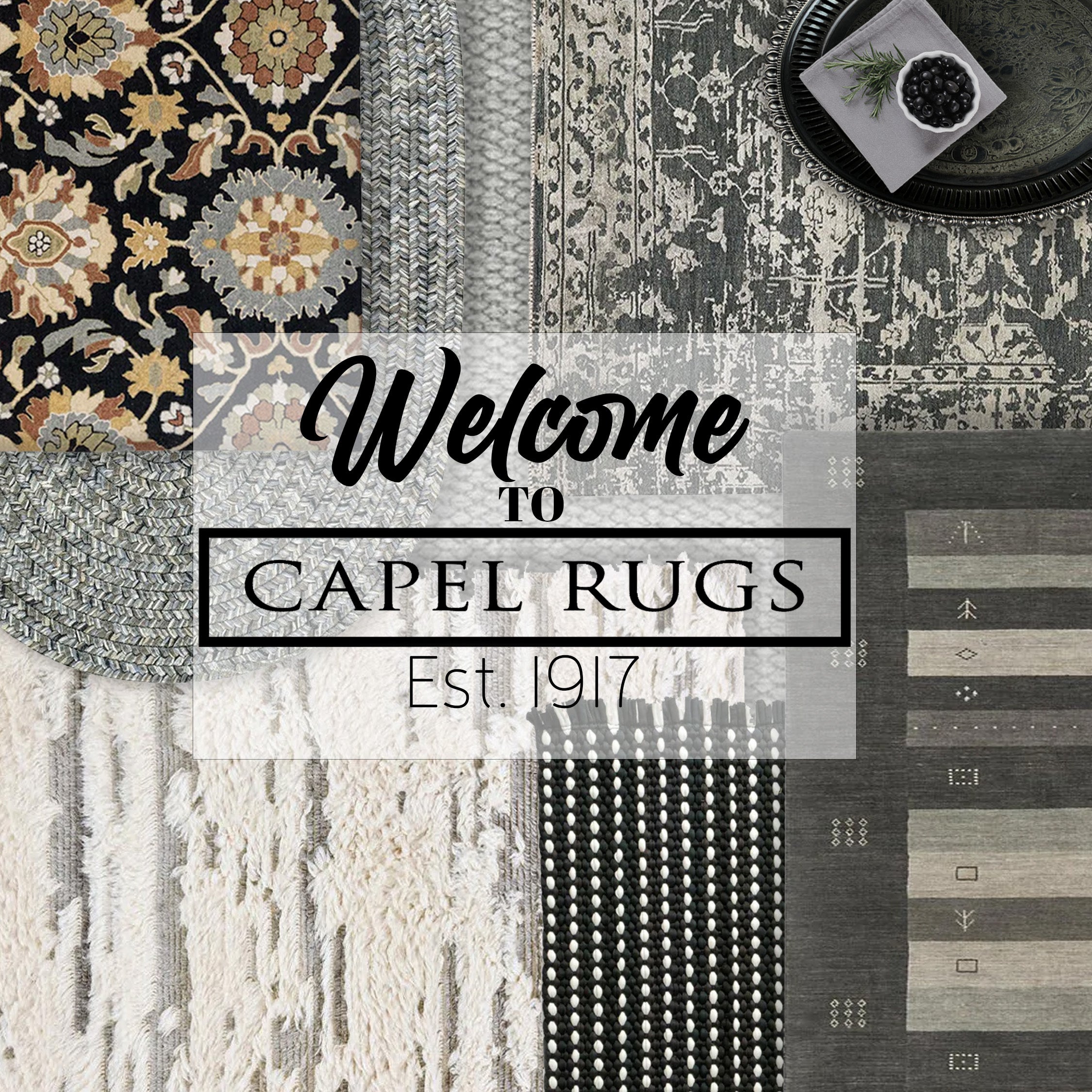 Visit Capel Rugs Troy Outlet To